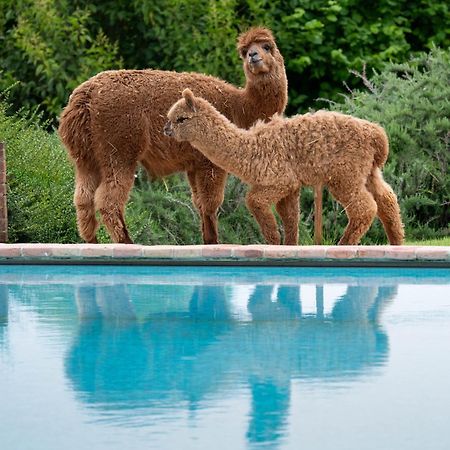 Agriturismo Il Vecchio Mandorlo Perugia Zewnętrze zdjęcie