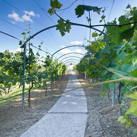 Agriturismo Il Vecchio Mandorlo Perugia Zewnętrze zdjęcie