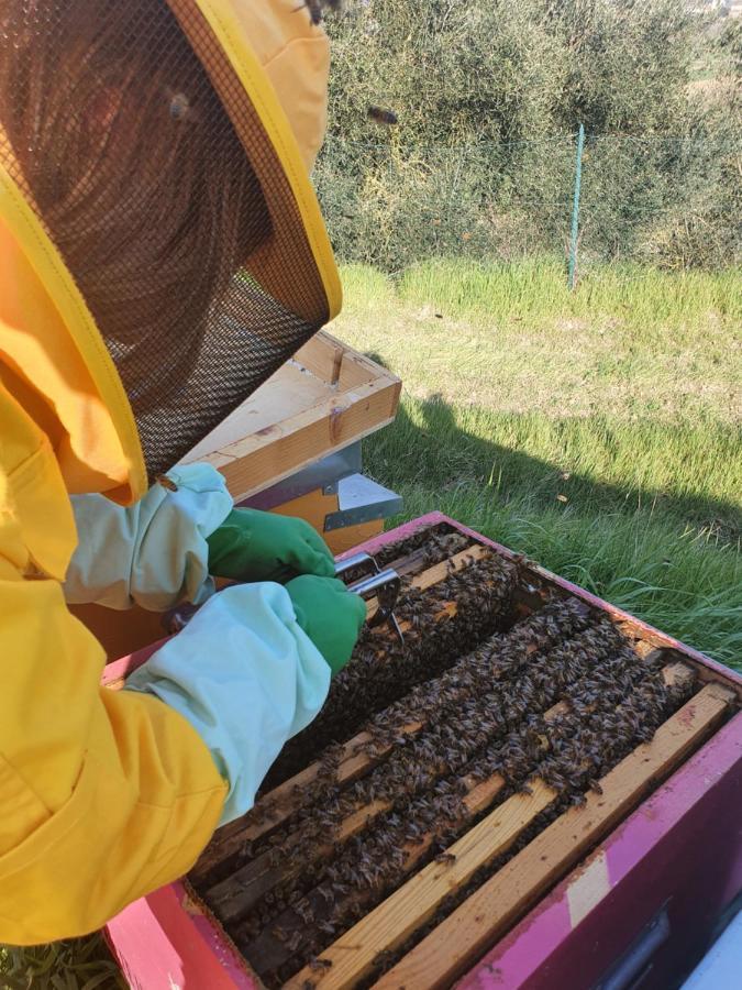 Agriturismo Il Vecchio Mandorlo Perugia Zewnętrze zdjęcie