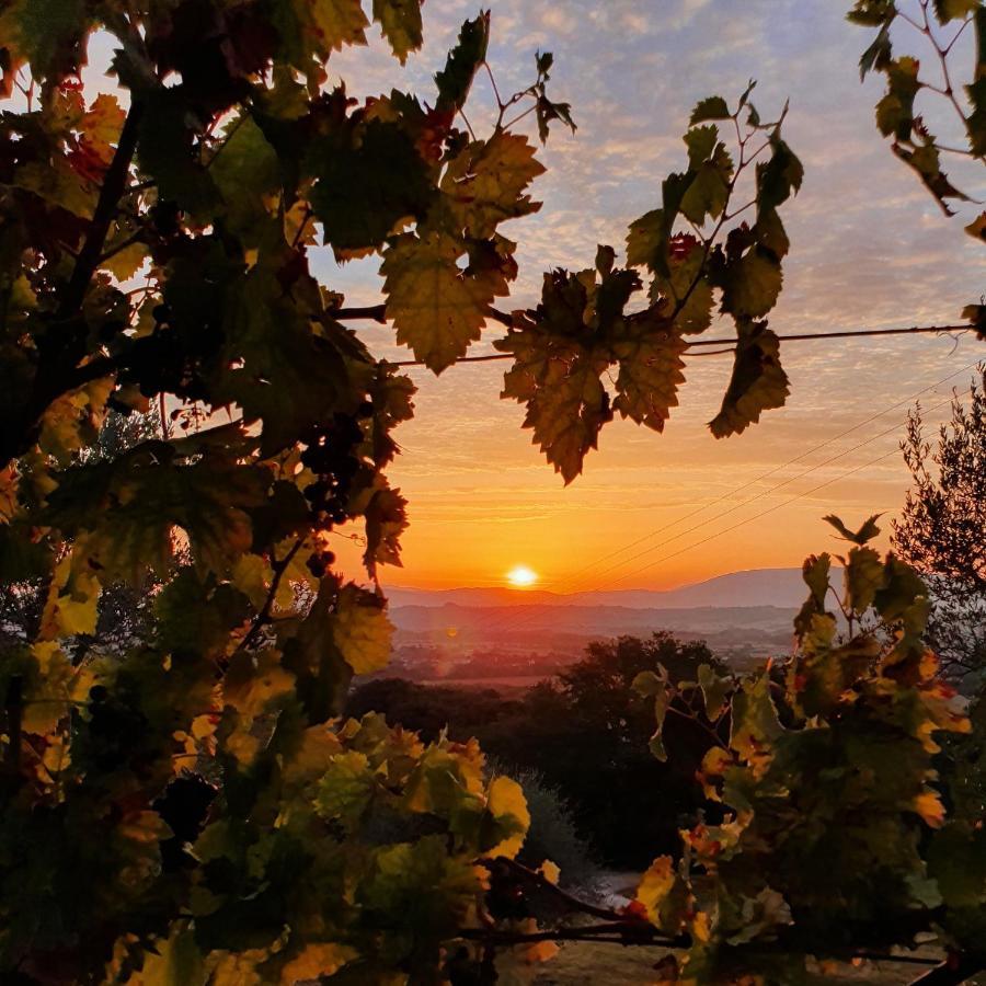 Agriturismo Il Vecchio Mandorlo Perugia Zewnętrze zdjęcie
