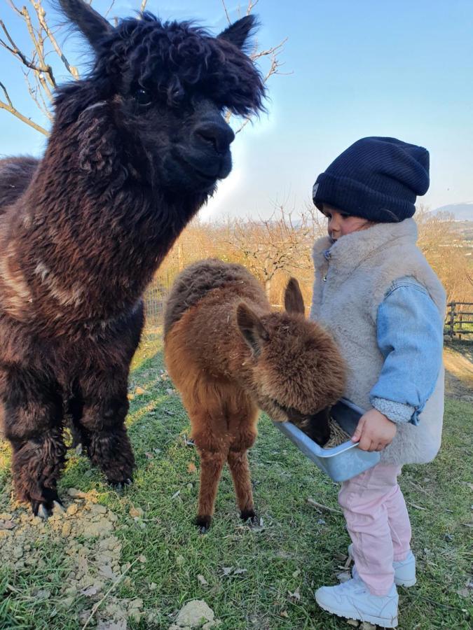 Agriturismo Il Vecchio Mandorlo Perugia Zewnętrze zdjęcie