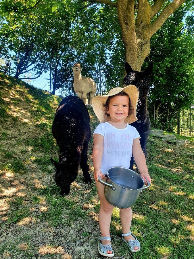 Agriturismo Il Vecchio Mandorlo Perugia Zewnętrze zdjęcie